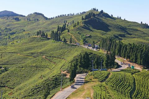 Kanyam  2 C  Ilam    Best Location In  Ilam For  Nature  Lovers   2 8 By  Saroj  Pandey  2 9, Ilam