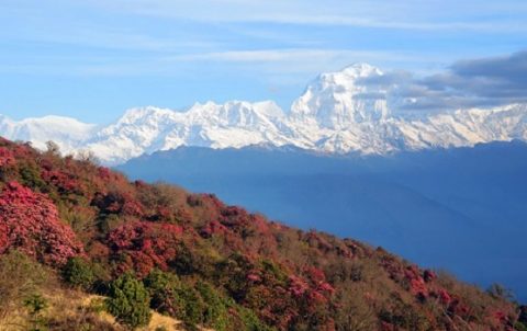 Himalayan Spring In Nepal, Imja Tse