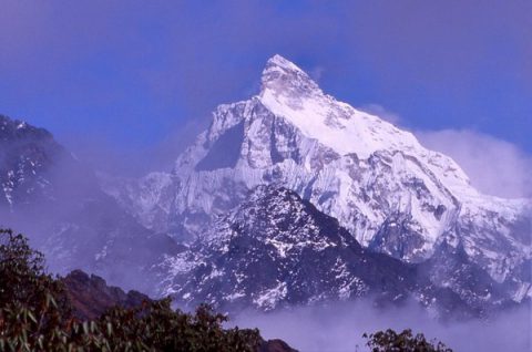 Jannu  Gyabla  Pass, Jannu