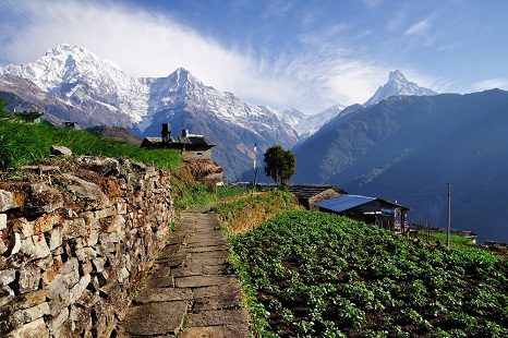 Annapurna Mountain From Village, Jhinudanda