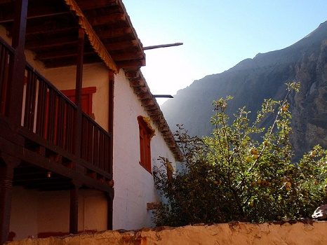 Jomsom - Kagbeni House With Apple Tree - Annapurna Nepal, Jomsom