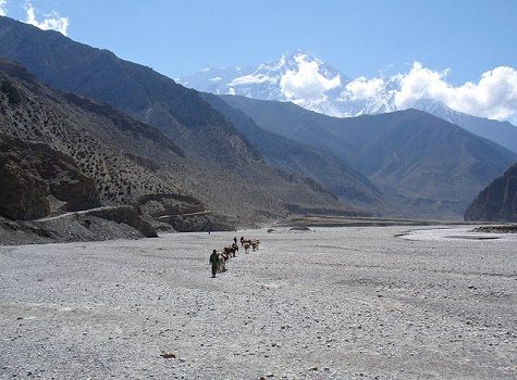 Kali Gandaki Valley Near Jomsom - Nepal Annapurna, Jomsom