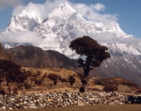 Thamserku   Kantaiga  From   Thame, Kangtega
