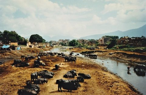 Kathmandu Along Bagmati River - Nepal, Kathmandu