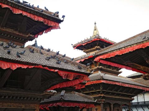 Pigeons on the Hanuman Dhoka Roof, Kathmandu All Inclusive 4 Day Escape