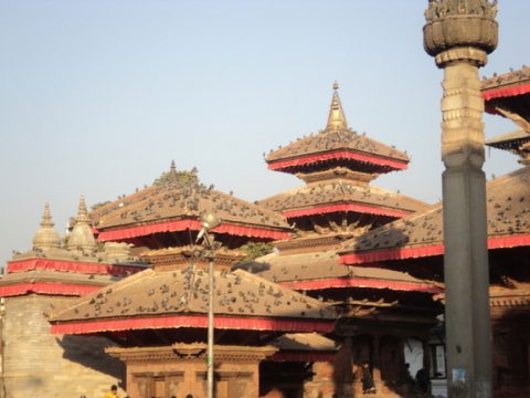Durbar Birds, Kathmandu Durbar Square
