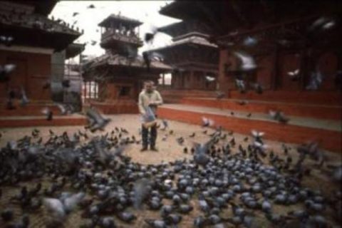 Kathmandu Living, Kathmandu Living