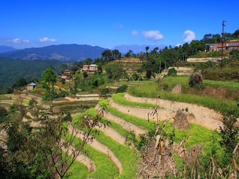 Nagarkot, Kathmandu Tour and Chisapani and Nagarkot Trek 5 Days
