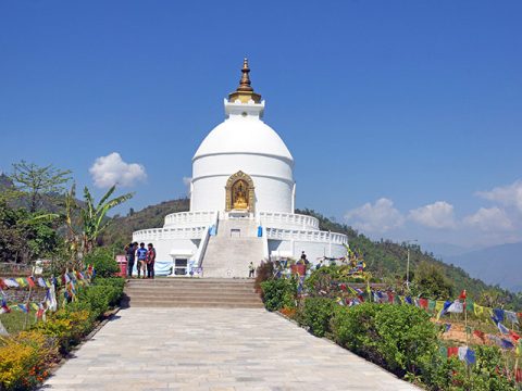 World Paece Stupa, Kathmandu Tour & Chitwan Safari