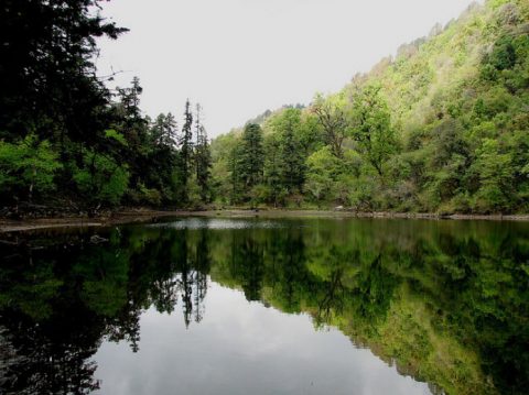 Khaptad National Park, Khaptad National Park