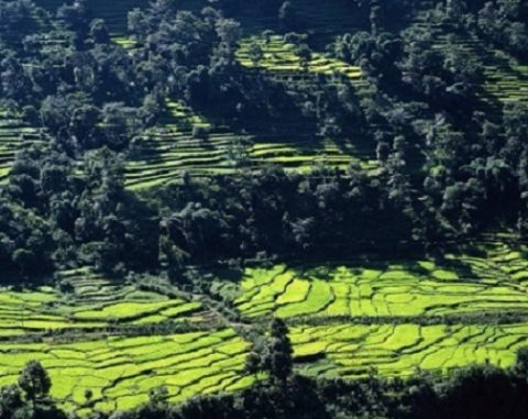 Annapurna Trekking Route - Nepal Himalayas, Khumbutse