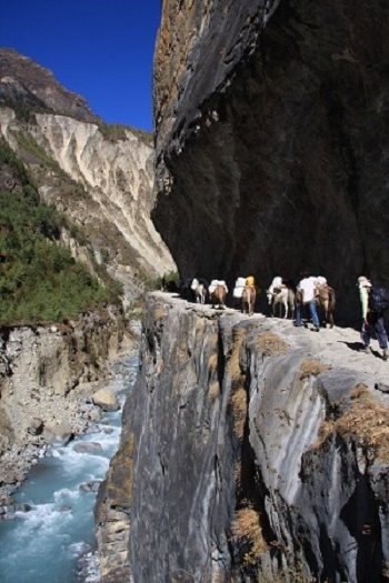 Donkey Train In Annapurna Region - Himalayas Nepal, Khumbutse