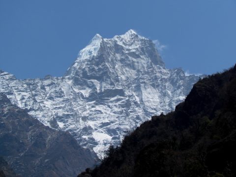 Kusum Kangguru, Kusum Kangguru
