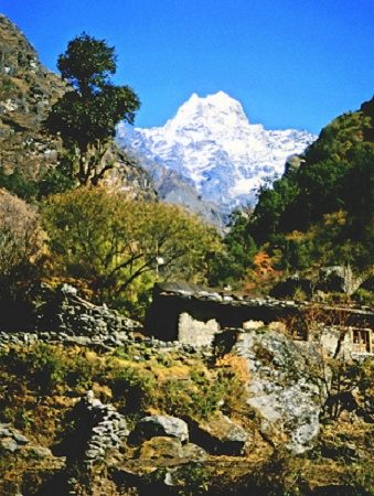 Kusum Kanguru From Thado Kosi Bridge - Nepal, Kusum Kangguru