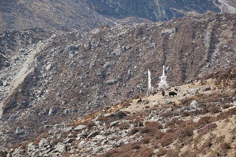 Kyanjin Stupa - Langtang - Nepal Himalayas, Kyanjin Gompa