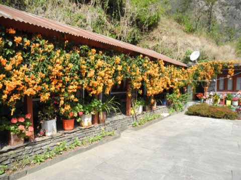 Bright Guest House, Kyumi