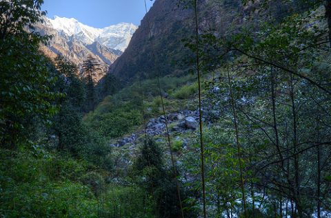 View Langtang, Langtang Valley Trek