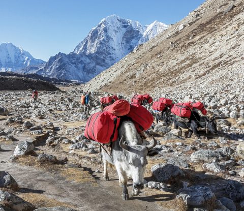 Lobuche Near Mount Everest - Nepal, Lobuche