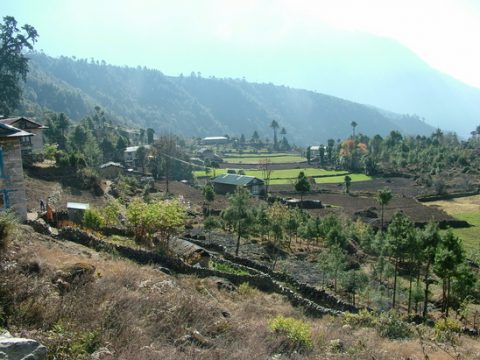 Vegetation in Lukla, Lukla
