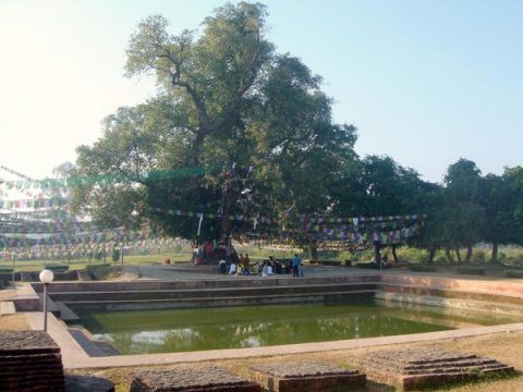 Lumbinibodhi, Lumbini