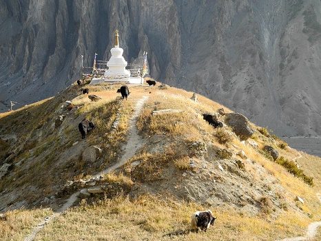 De Ngawal & Manang Stupa - Nepal Annapurnas, Manang