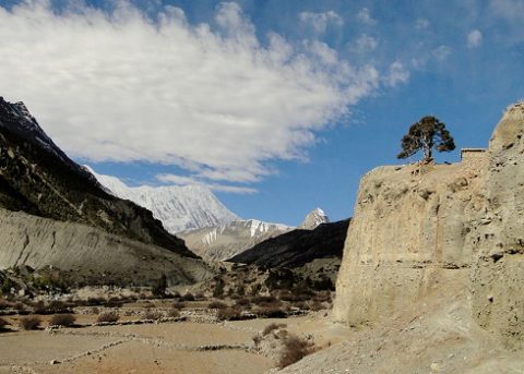 Manang Landscape - Nepal Annapurnas, Manang