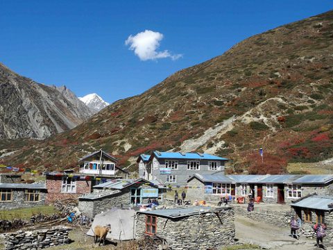 View Manang & Yak Kharkha - Annapurna CA Nepal, Manang