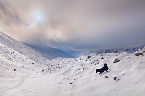 Larkya Pass In Himalayas - Nepal, Manaslu