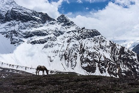 Manaslu Circuit Trek Views - Himalayas In Nepal, Manaslu