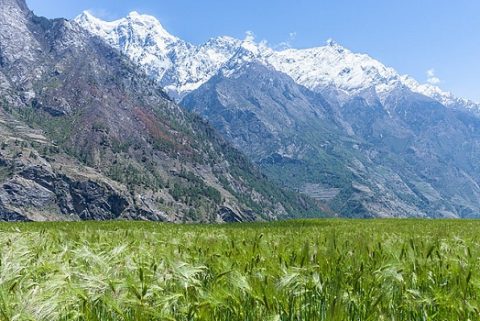 Scenic Manaslu Circuit Trek - Nepal Himalayas, Manaslu
