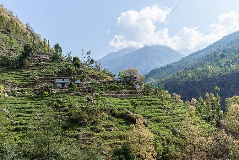 Terraces Around Manaslu Circuit - Nepal Himalayas, Manaslu