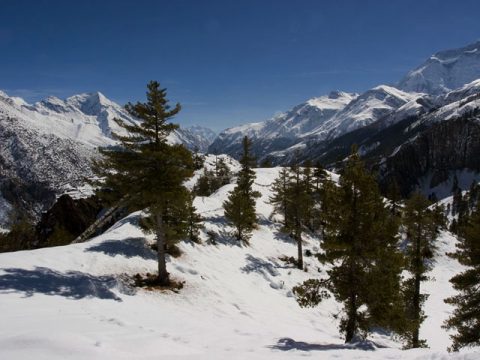 Looking back towards Manaslu, Manaslu Circuit Trek