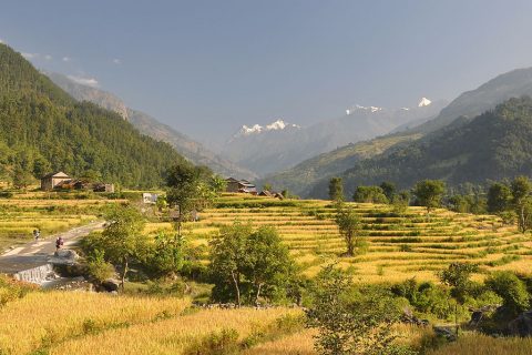 Manaslu Circuit Trek, Manaslu Expedition 2014