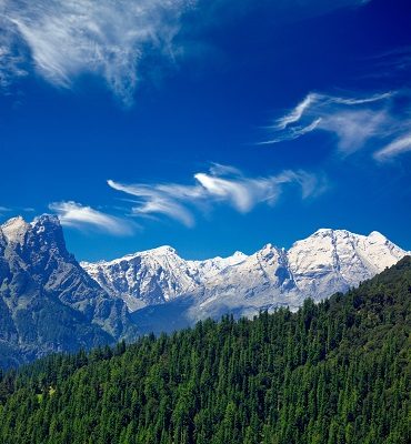 Indian Forest & Himalayas, Mount Everest