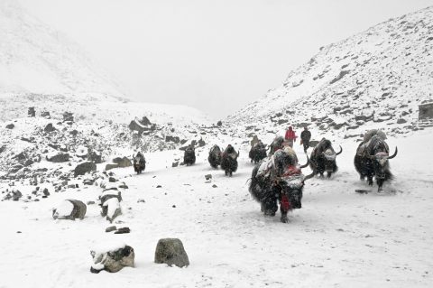 Mt. Everest - Nepal Himalayas, Mount Everest