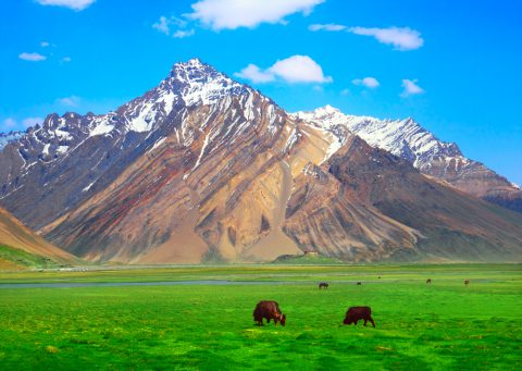 Suru Valley - Ladakh J&K India, Mount Everest
