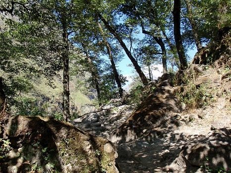 Forests Towards Mustang - Nepal Annapurna, Mustang