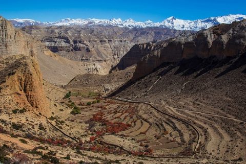 Samar Terraced Cultivation - Mustang - Nepal Annapurna, Mustang