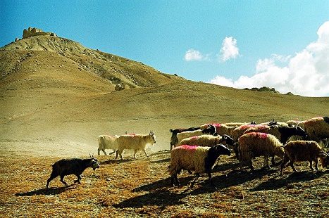 Upper Mustang Landscape - Annapurna Nepal, Mustang