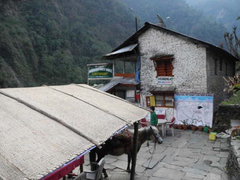 Modi Khola Guest House, New Bridge