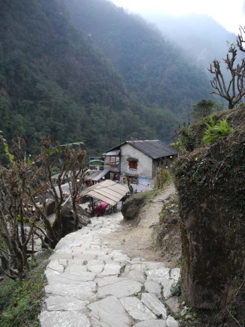 Trail to New Bridge, New Bridge