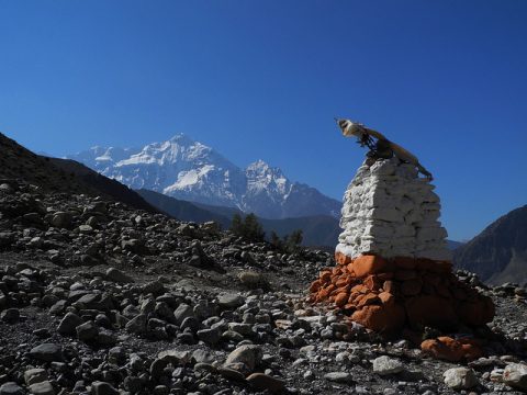 Nilgiri Peak, Nilgiri Himal