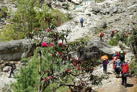 Trekkers @ Phakding - Sagarmatha NP, Phakding