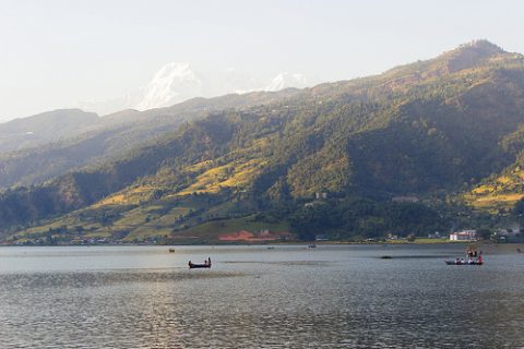 Paddling On Phewa Lake Near Pokhara, Phewa Lake