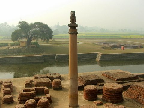 Asokan Pillar, Pillars Of Ashoka