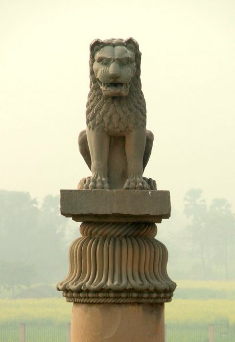 Asokanpillar, Pillars Of Ashoka