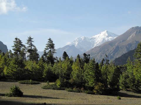 De Timang à Pisang, Pisang Peak Climbing