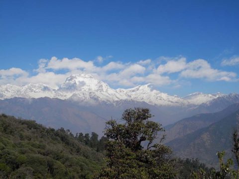 Poon Hill View, Poon Hill