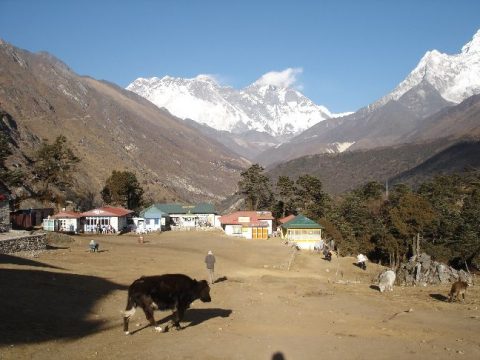 Tengboche, Sagarmatha National Park