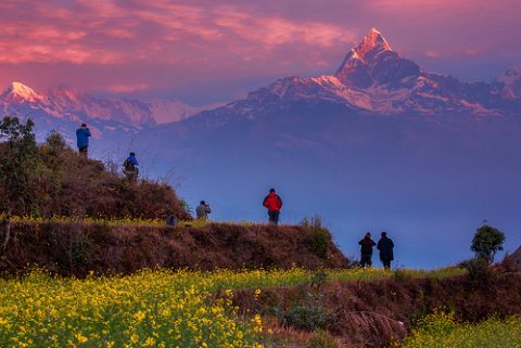 Mount Machhapuchre From Saranko - Nepal, Sarankot